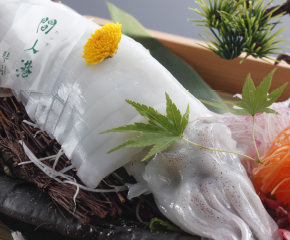 活け白イカ