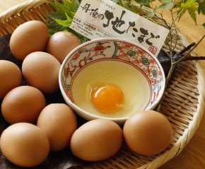 丹後の地たまご